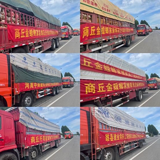 9888拉斯维加斯(股份)有限公司-官方网站